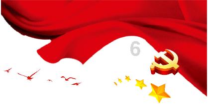 超120匹顶级种公马的1125匹子嗣列阵:2024新西兰周岁纯血马拍卖会!